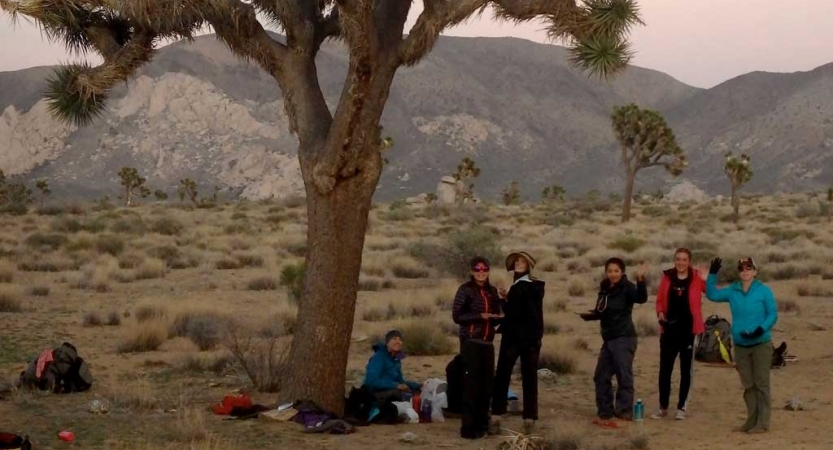 A group of people stand below a joshua tree. There are mountains in the background. 